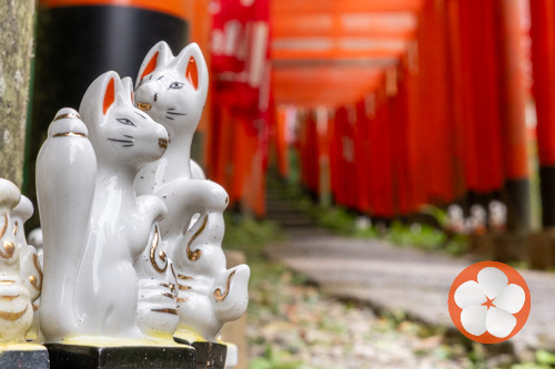 Kamakura Photo Tours Japan