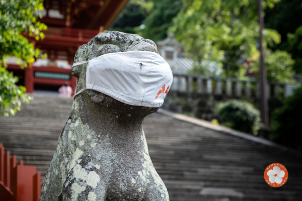 komainu dans les temples
