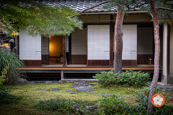 visit Kamakura