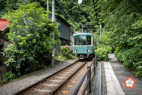 Train Enoden à Kamakura