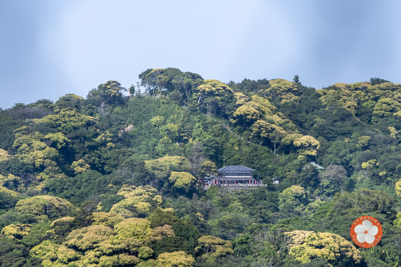 Randonnée à Kamakura